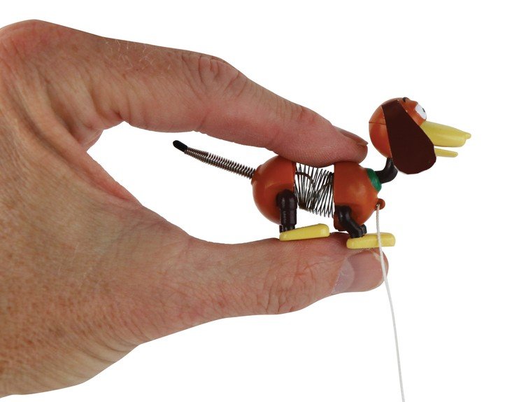 World's Smallest Slinky Dog