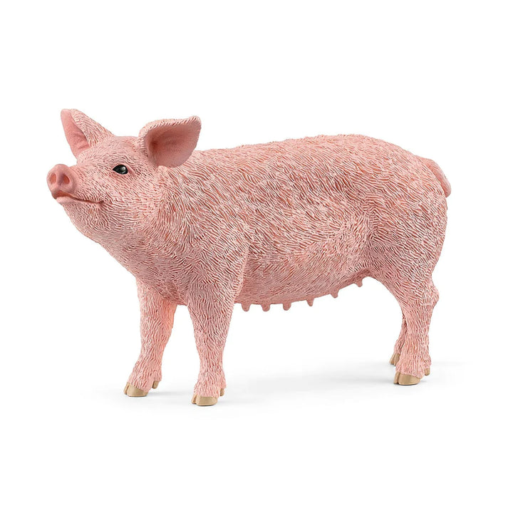 Pig | Schleich