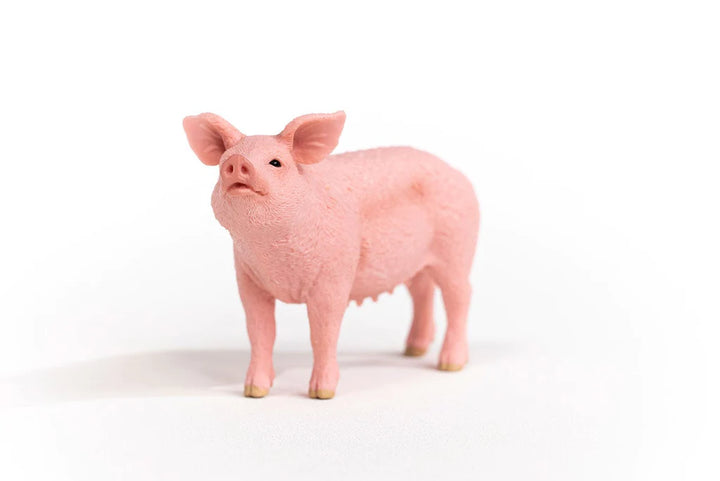 Pig | Schleich
