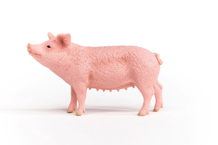 Pig | Schleich