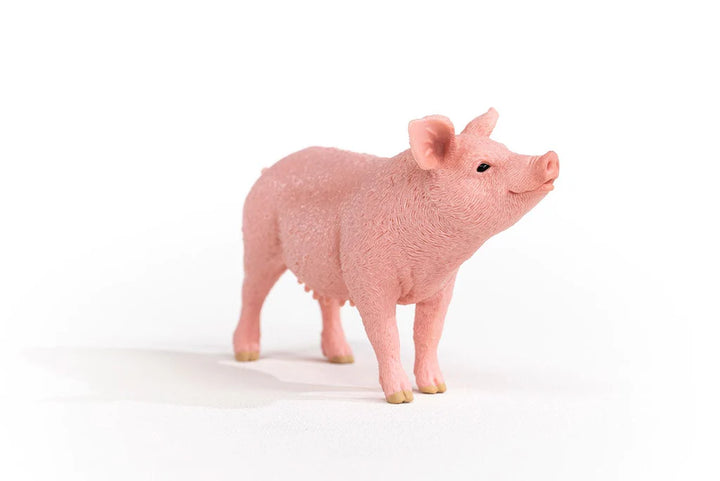 Pig | Schleich