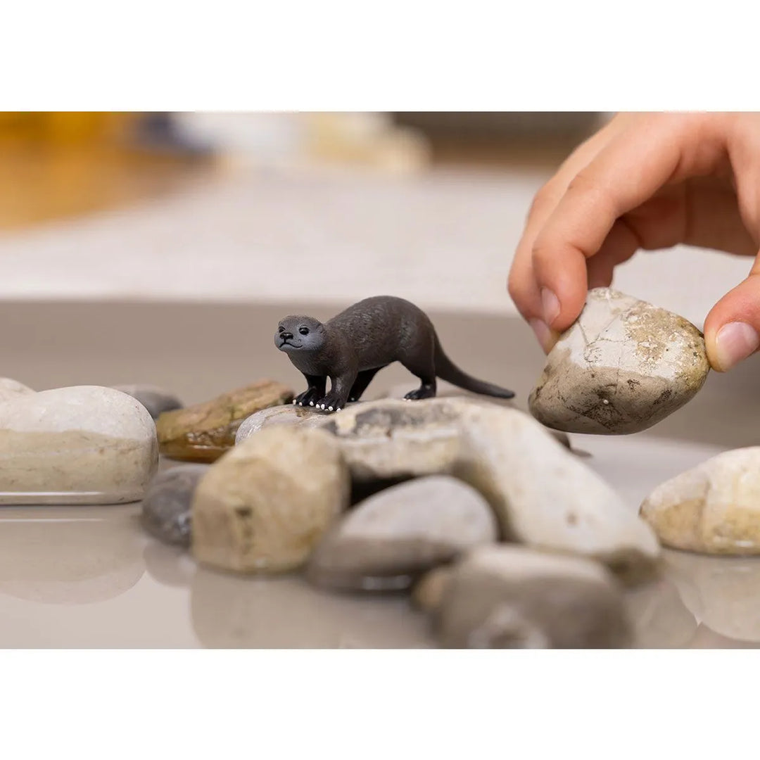 Otter | Schleich
