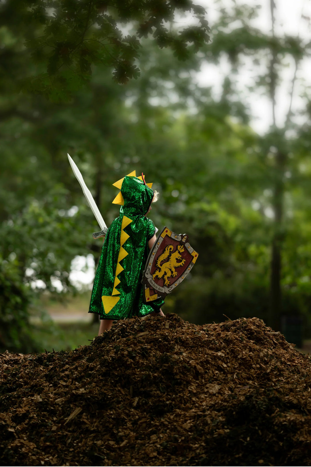 Knights Honour EVA Sword | Great Pretenders