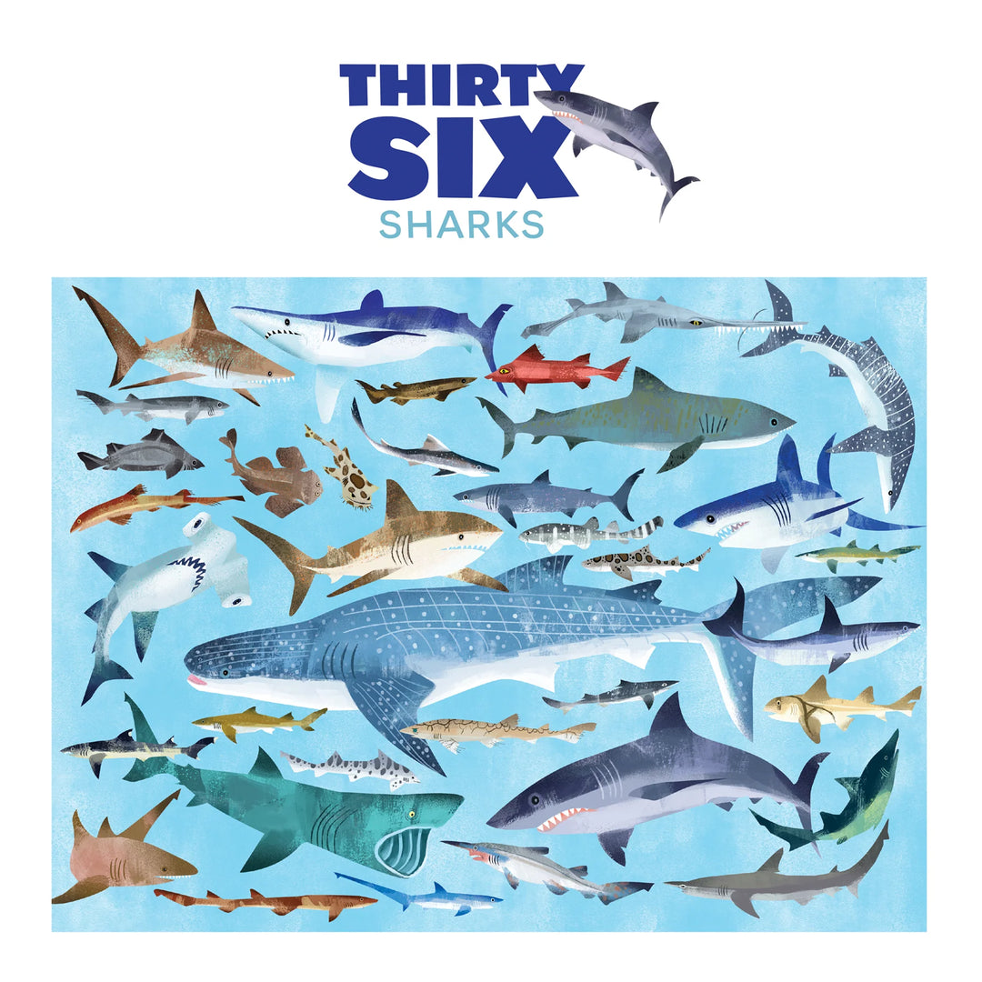 36 Sharks - 100-Piece Puzzle | Crocodile Creek