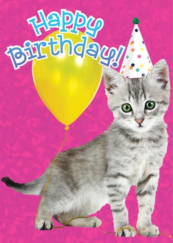 Birthday Kitten Foil Card