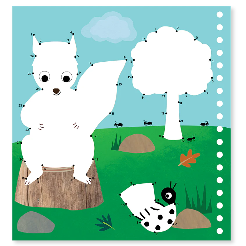 Adventure Magic Multi Play | Floss & Rock