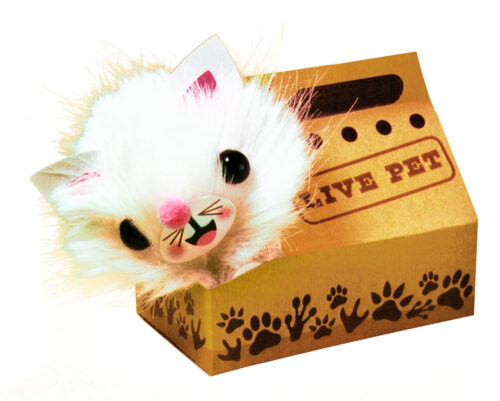 My Pom-Pom Pet Shop | Klutz Jr.