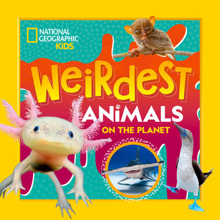 Weirdest Animals on the Planet | National Geographic Kids