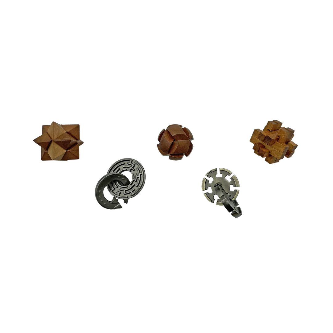 Lost Treasure Collection - 5-Pack of Brainteasers | Project Genius