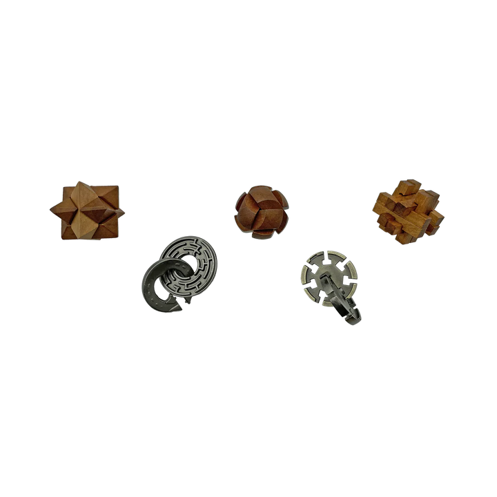 Lost Treasure Collection - 5-Pack of Brainteasers | Project Genius