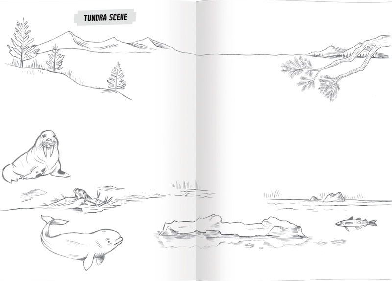 Learn to Draw Wild Animals | eeBoo