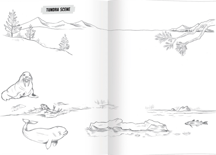 Learn to Draw Wild Animals | eeBoo