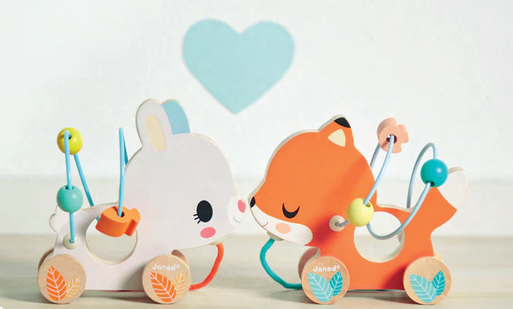 Animal Baby Looping Pull Toy | Janod