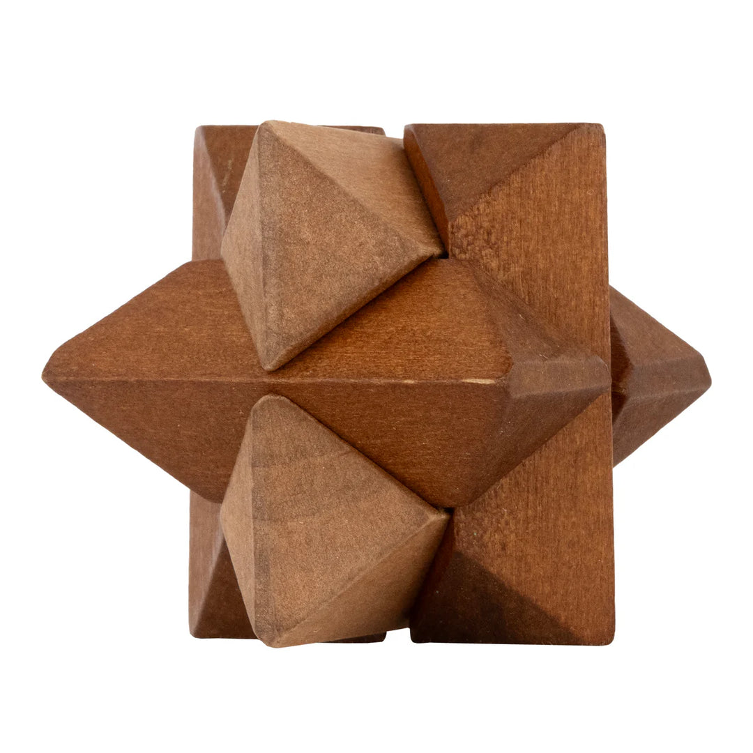 Lost Treasure Collection - 5-Pack of Brainteasers | Project Genius