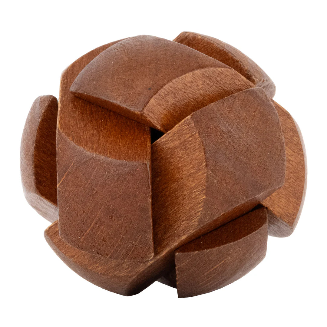 Lost Treasure Collection - 5-Pack of Brainteasers | Project Genius