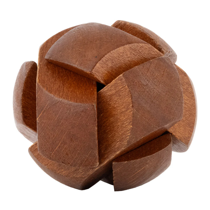 Lost Treasure Collection - 5-Pack of Brainteasers | Project Genius