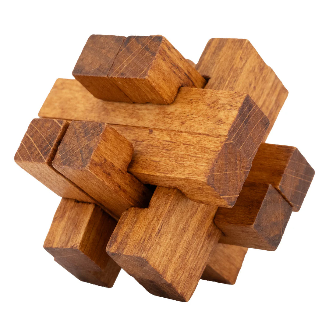 Lost Treasure Collection - 5-Pack of Brainteasers | Project Genius