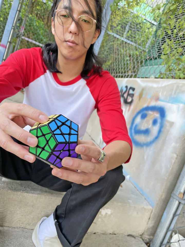 Novalinx Puzzle | Project Genius