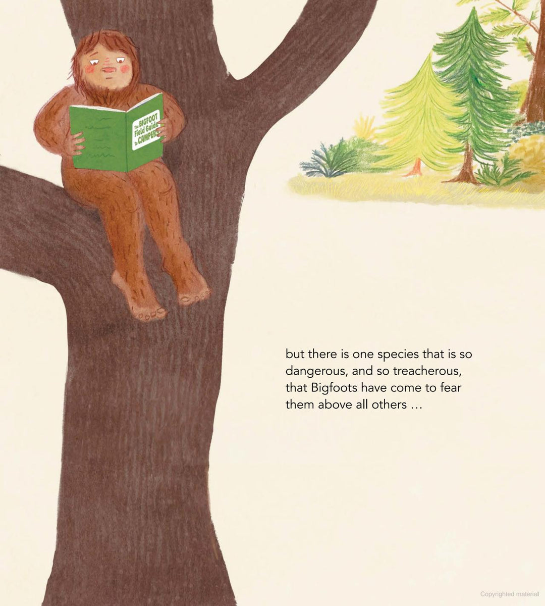 The Bigfoot Field Guide to Campers (And Other Mysterious Creatures)