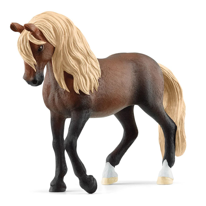 angled front view of stallion