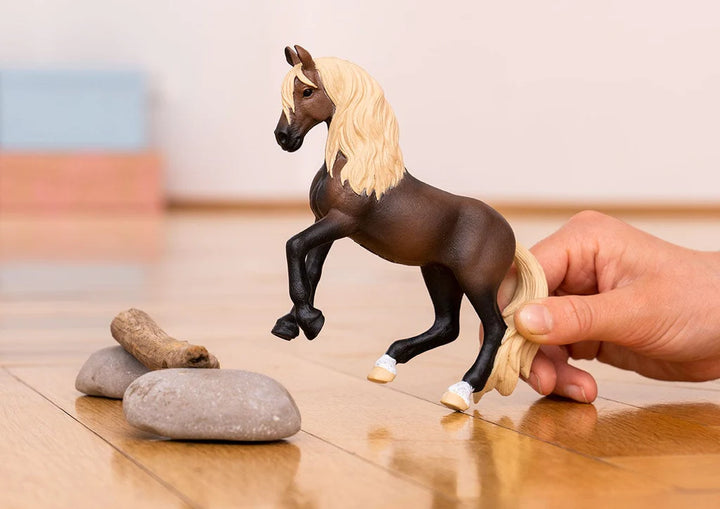 person playing with stallion, jumping over homemade jump