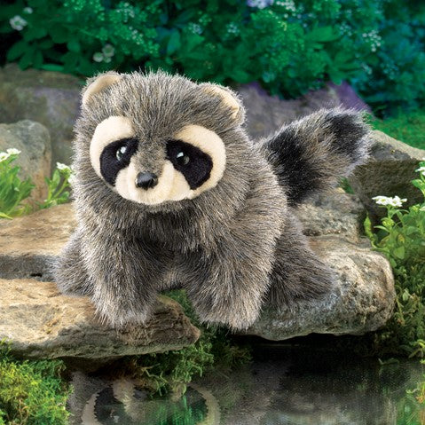 Baby Raccoon Hand Puppet | Folkmanis