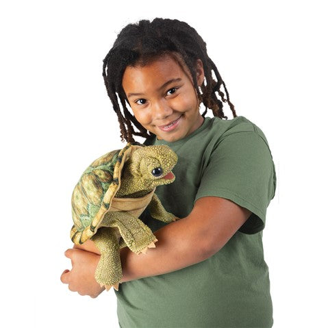 Tortoise, Standing | Folkmanis