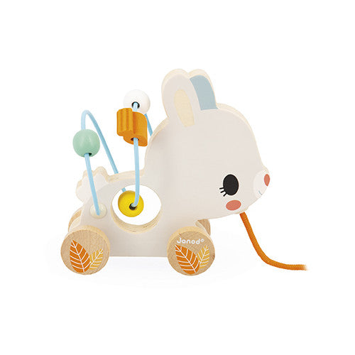 Animal Baby Looping Pull Toy | Janod