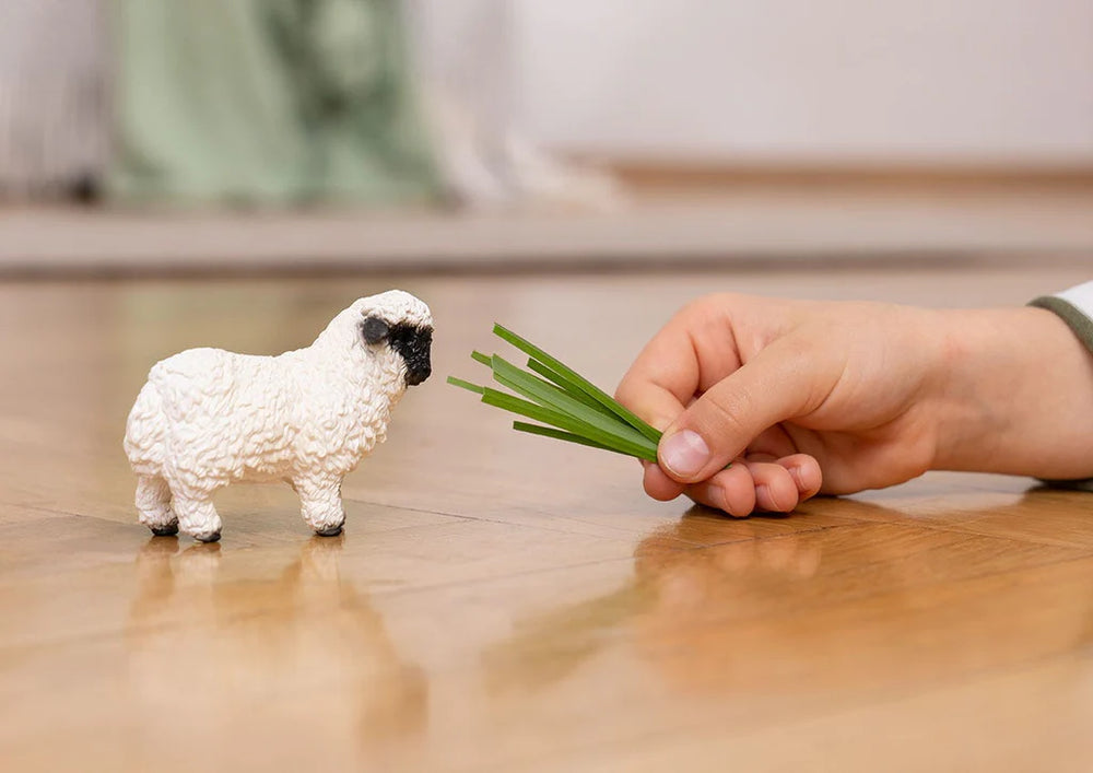 kid pretending to feed sheep grass