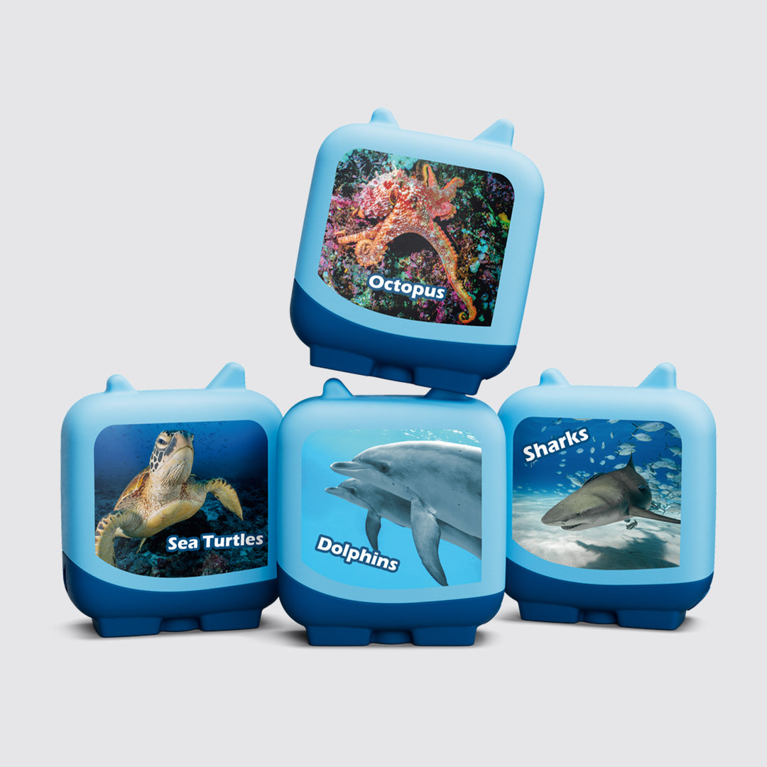 Tonie - Clever Tonies: Marine Life Set