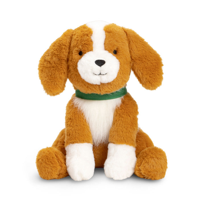 With My Dog - A Picture Book and Plush about Having (and Being!) a Good Friend