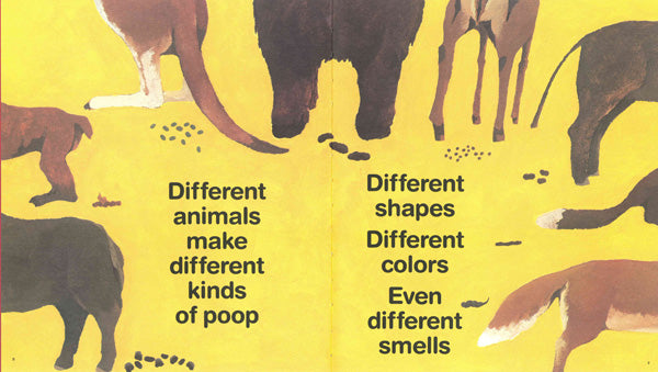 Everyone Poops