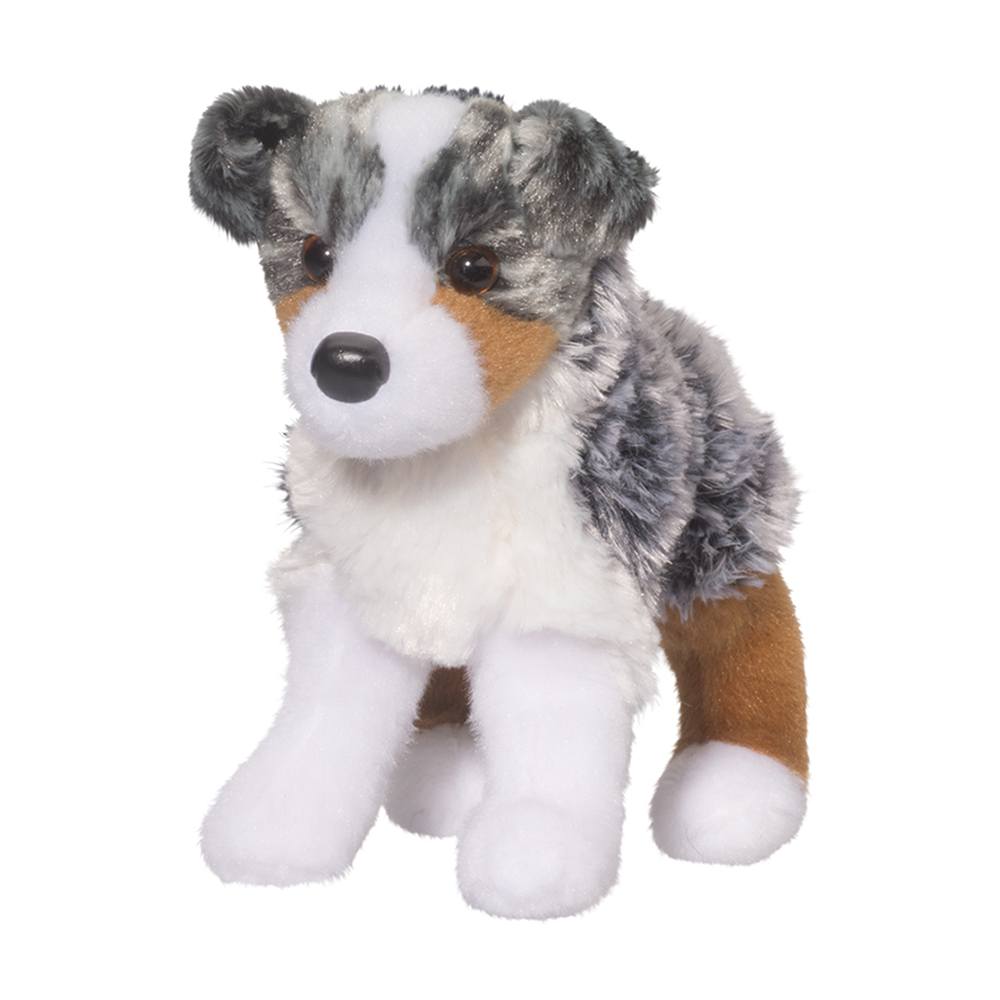 Steward Australian Shepherd | Douglas