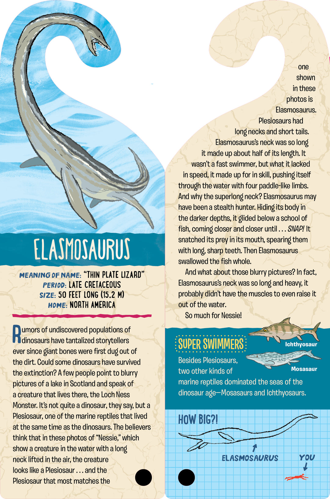 Fandex Kids: Dinosaurs