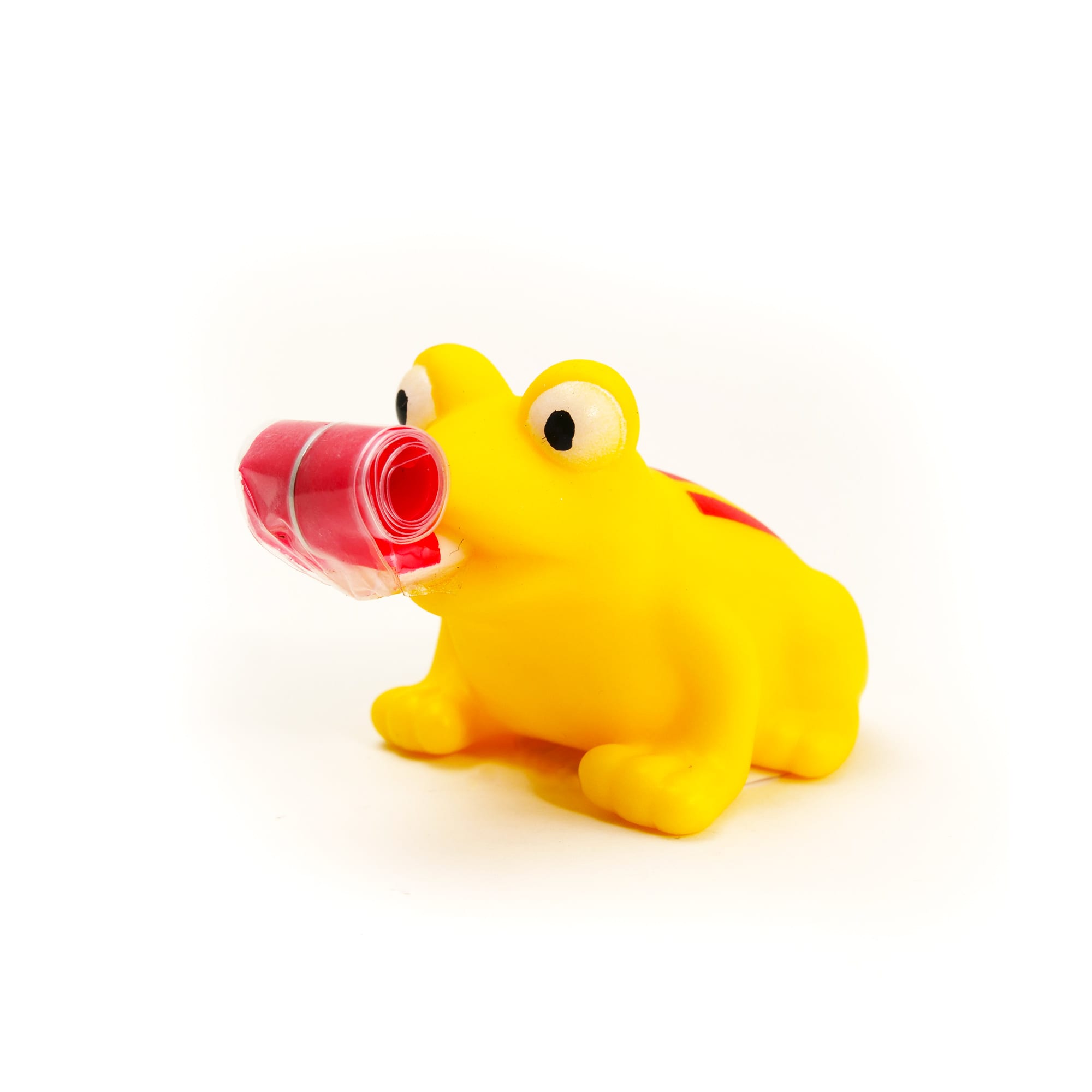 Long Tongue Frog