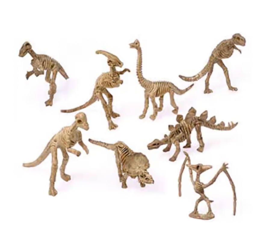 Skeleton Dinosaurs