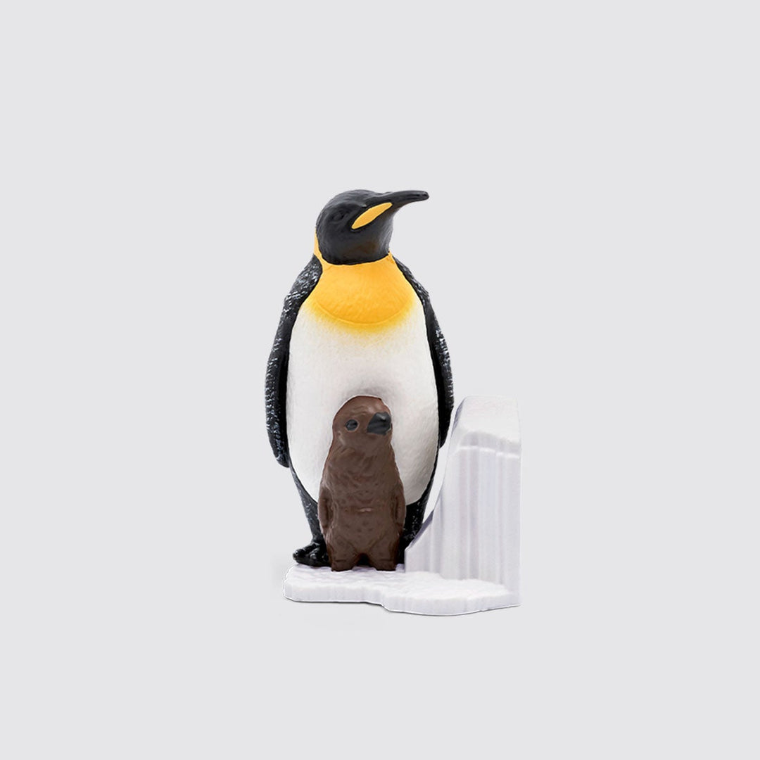 National Geographic for Kids - Penguin | Tonies