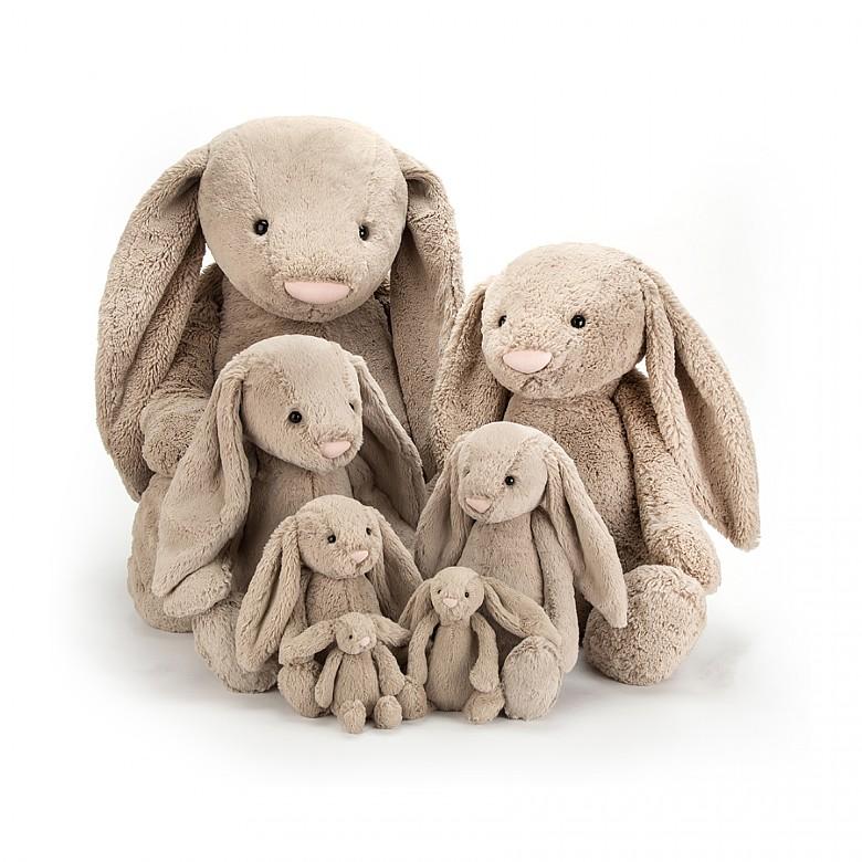 Bashful Beige Bunny | Jellycat – The Curious Bear Toy & Book Shop