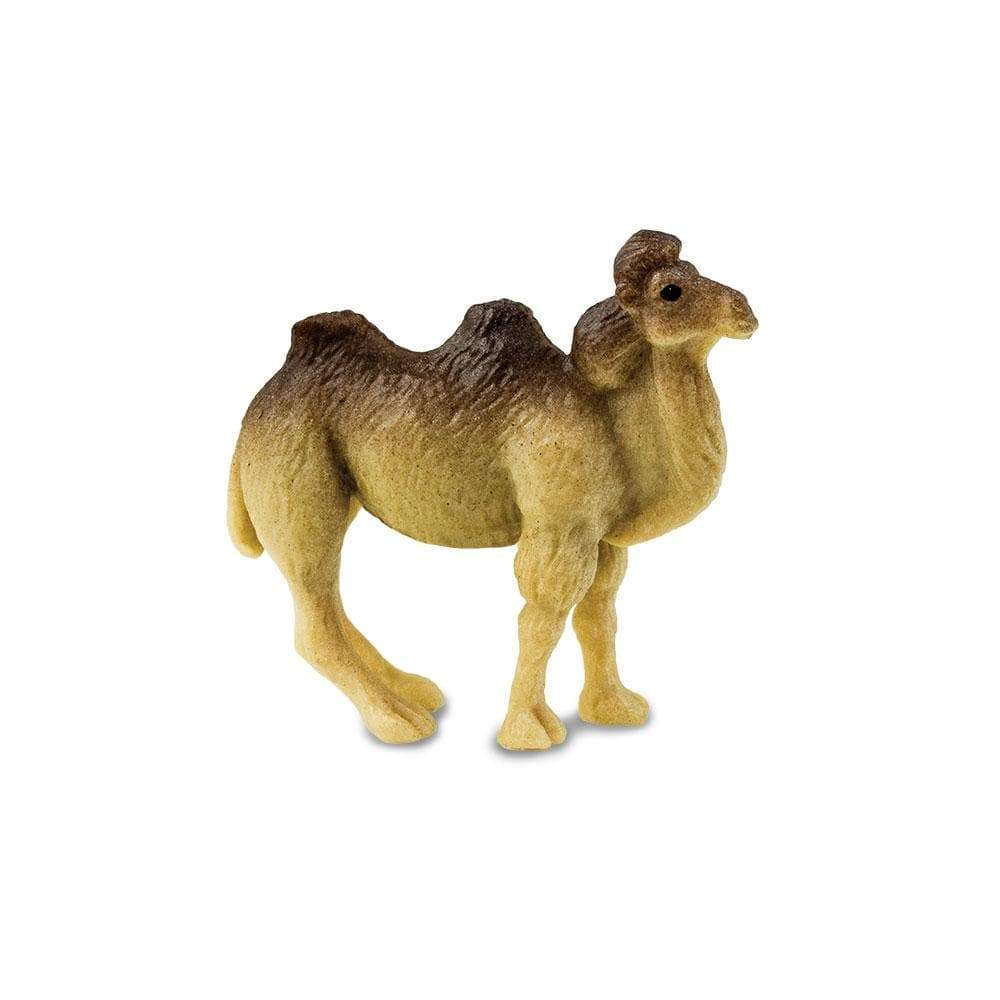 Camels - Good Luck Minis