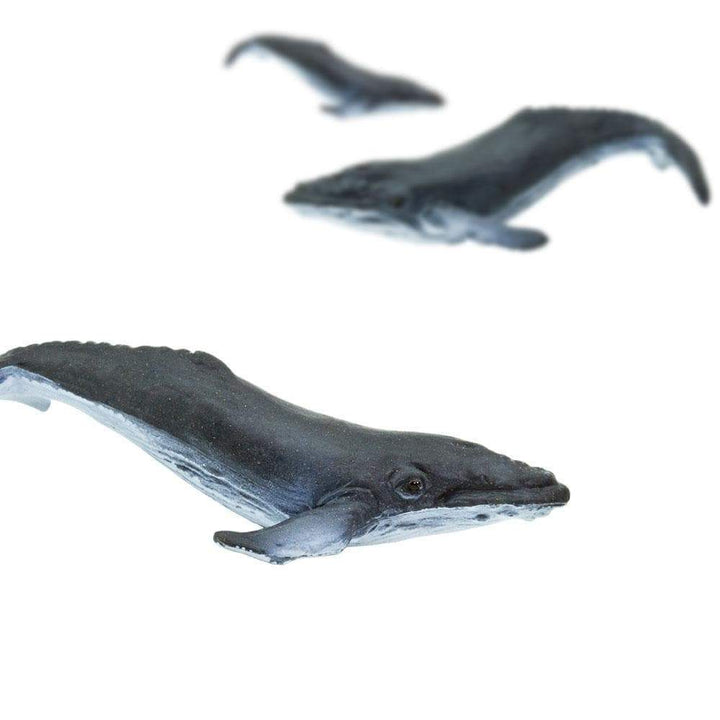 Humpback Whale - Good Luck Minis