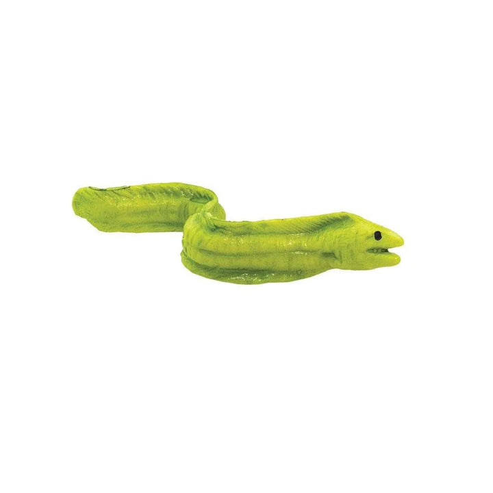 Moray Eel - Good Luck Minis