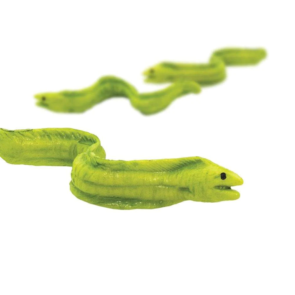 Moray Eel - Good Luck Minis