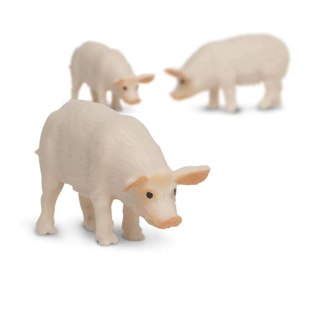 Sow - Good Luck Minis