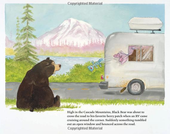 Three Bears of the Pacific Northwest