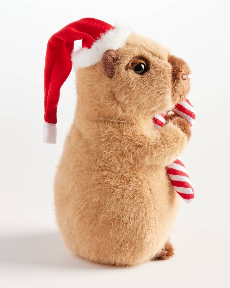 Holiday Capybara | Douglas