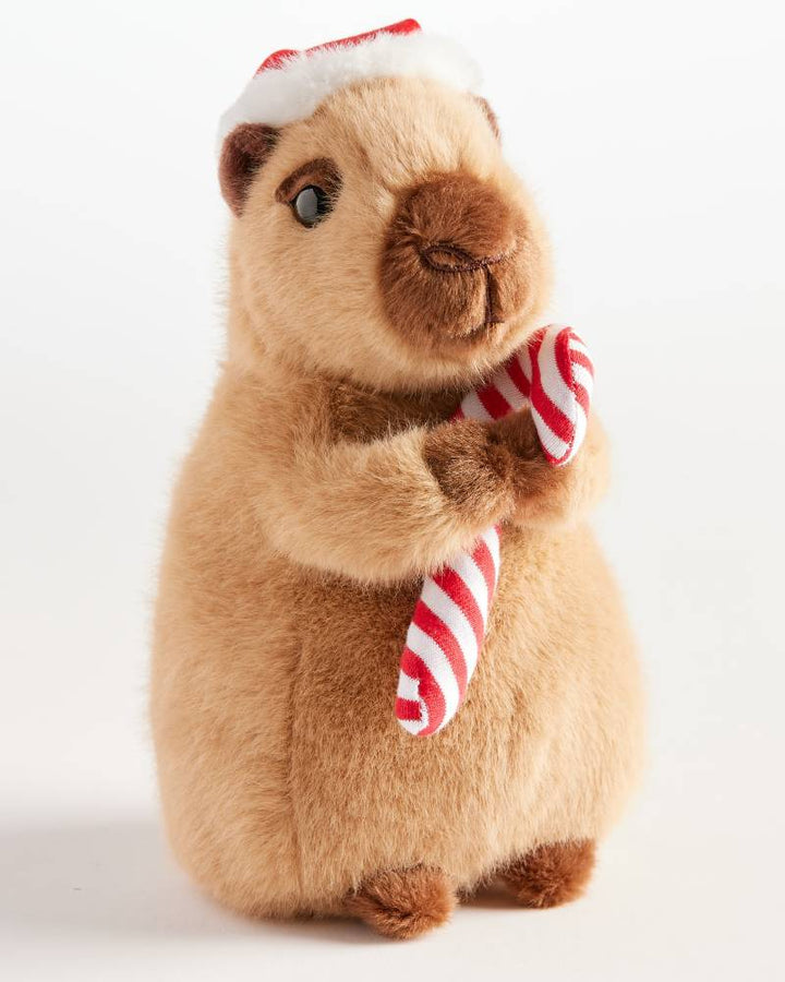 Holiday Capybara | Douglas