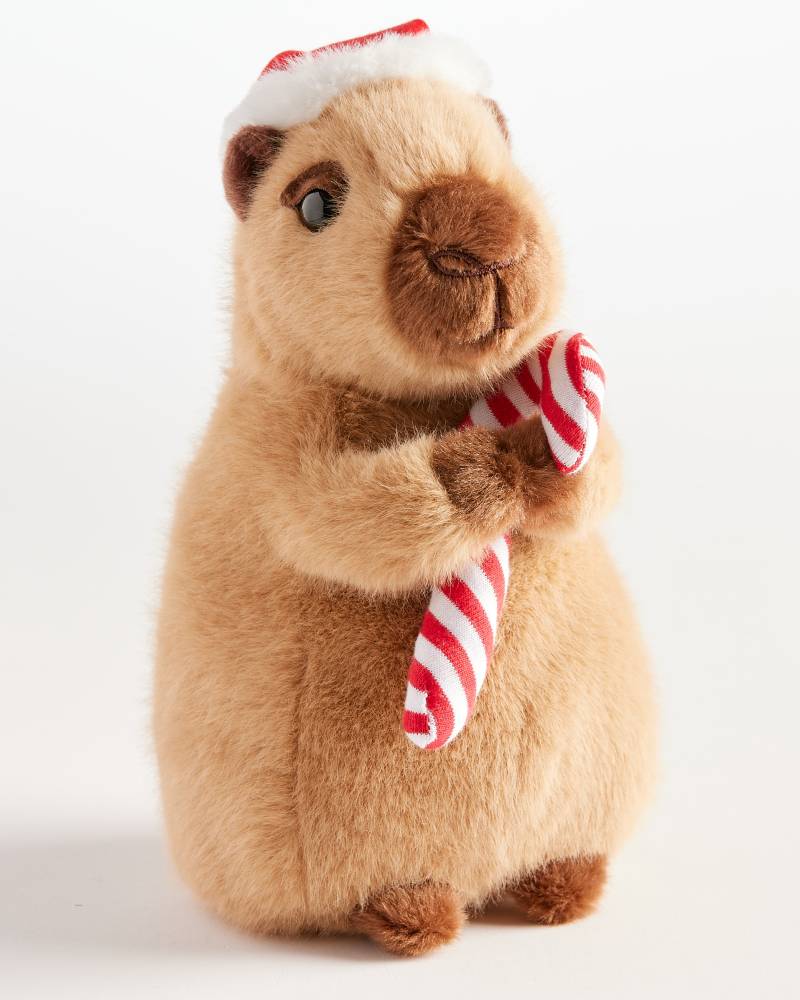 Holiday Capybara | Douglas