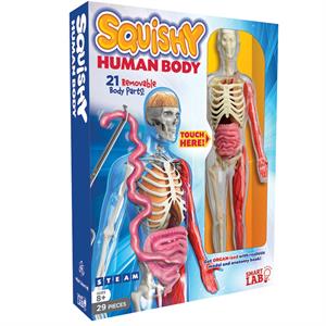 Squishy Human Body | SmartLab
