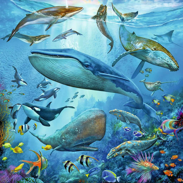 Ocean Life 3x49 Pc Puzzle | Ravensburger