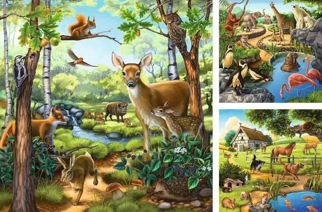 Forest/Zoo/Domestic Animals - 3x49 pc | Ravensburger
